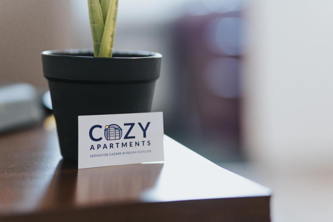 Cozy Accommodation Central City - Iasi Exteriör bild